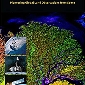 Landsat's Enduring Legacy